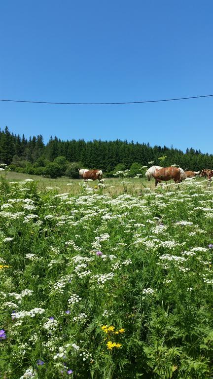 Vvf Haute Loire Saint-Julien-Chapteuil Εξωτερικό φωτογραφία